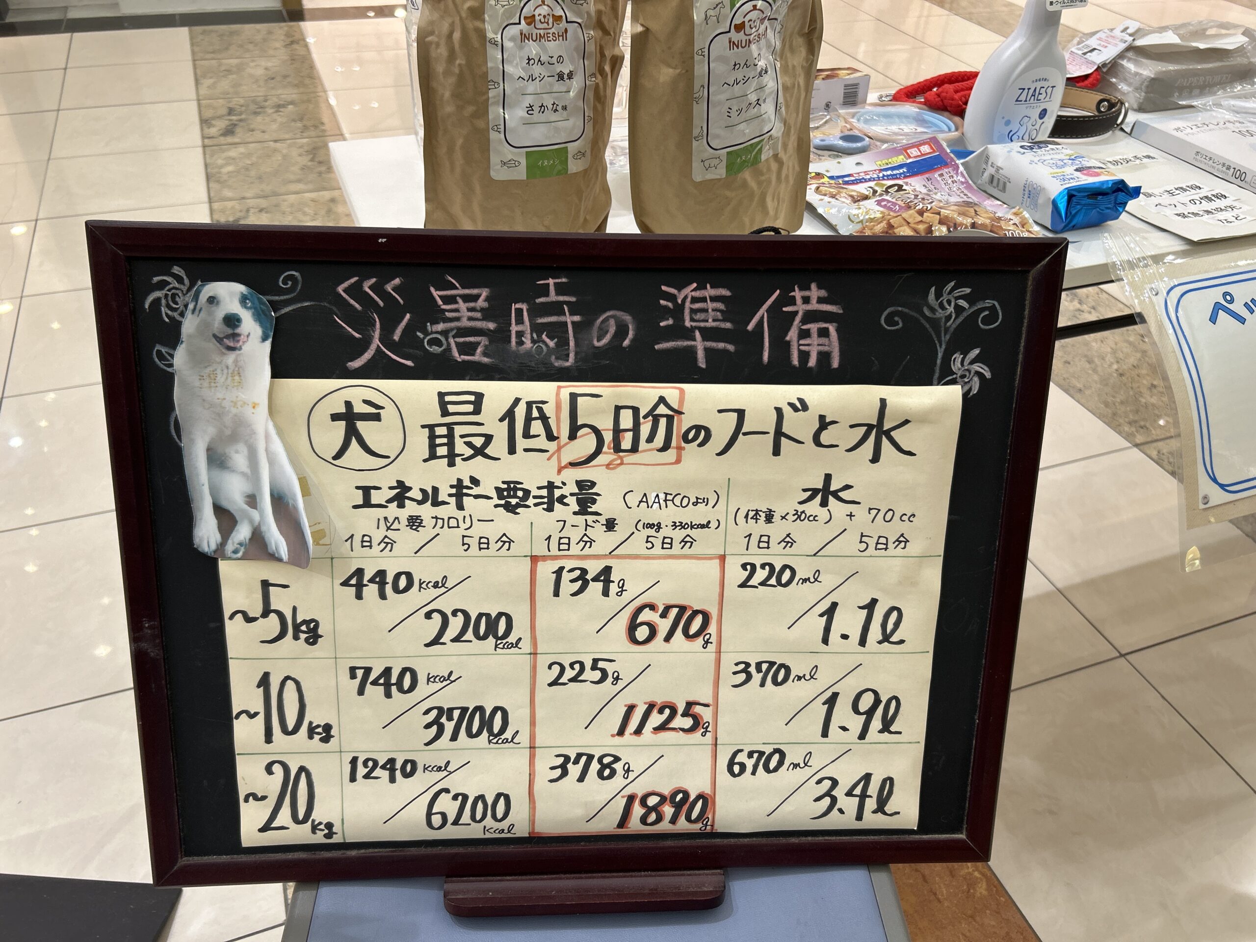 ペットの災害時の準備5日分リスト